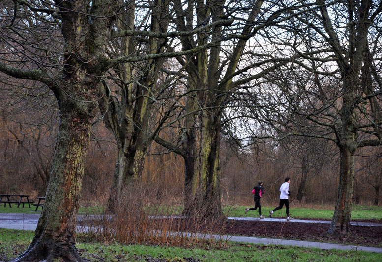 Cassiobury Park, Watford