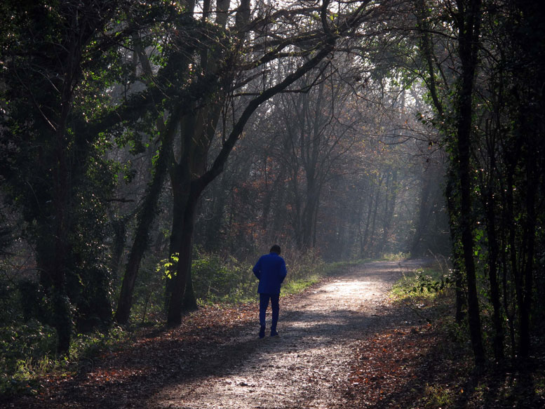 Cassiobury Park, Watford