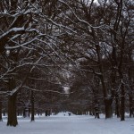 Cassiobury Park, Watford