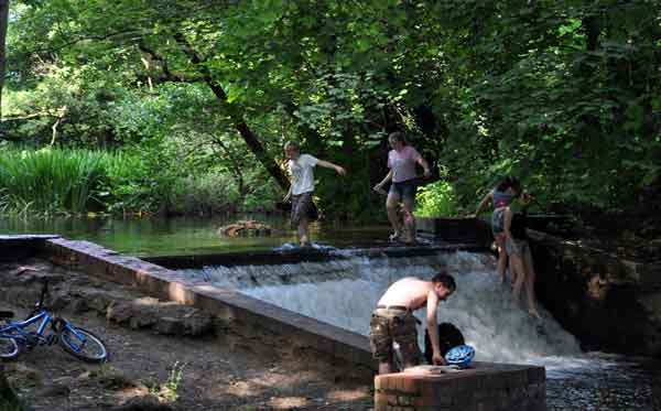 Cassiobury, July 2013