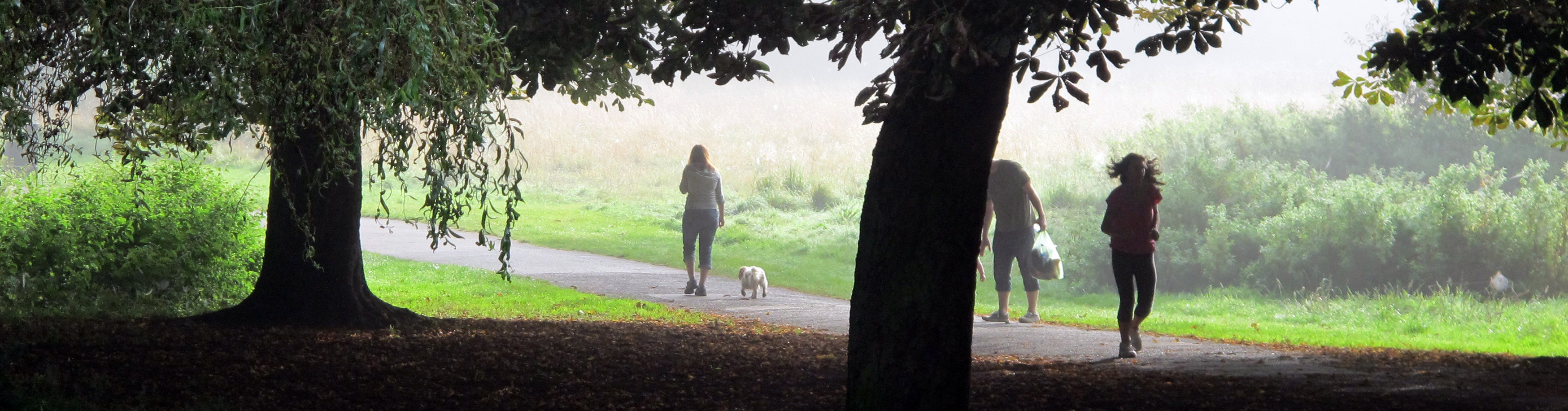 Cassiobury Park, dog walker