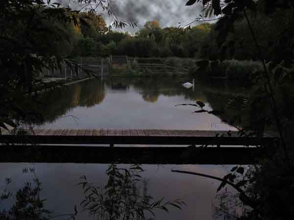 Cassiobury Park, watercress farm