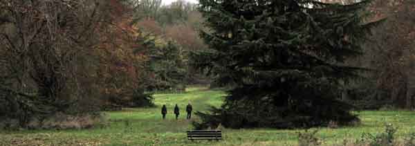 Cassiobury Park