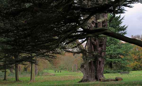 Cassiobury Park