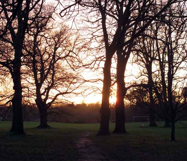 Cassiobury