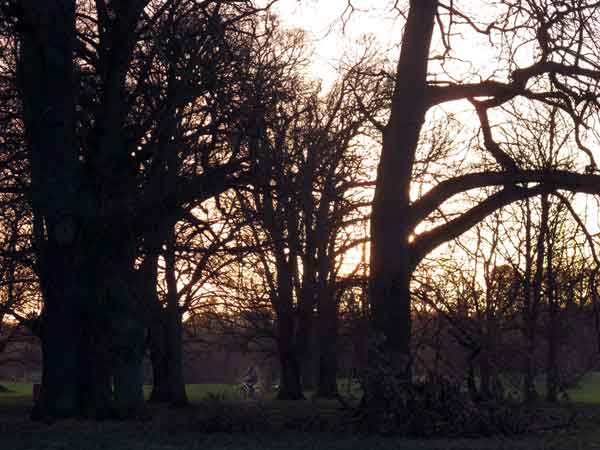 Cassiobury