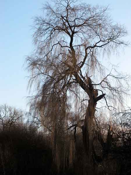 Cassiobury