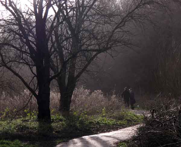 Cassiobury