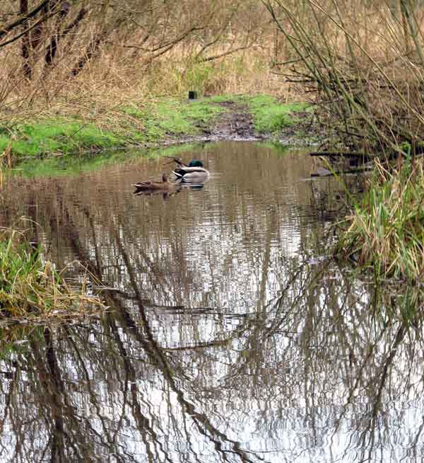 Cassiobury, Watford