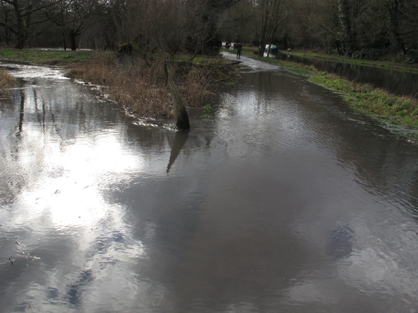 Cassiobury, Watford