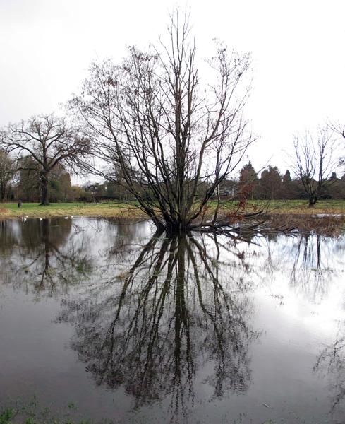 Cassiobury, Watford