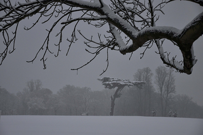 Cassiobury, Watford