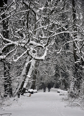 Cassiobury, Watford