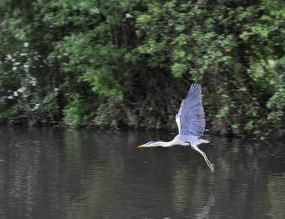 Cassiobury, Watford