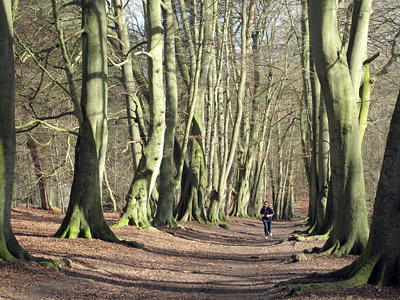 Cassiobury, Watford