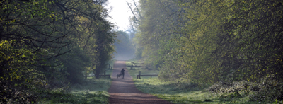 Cassiobury, Watford