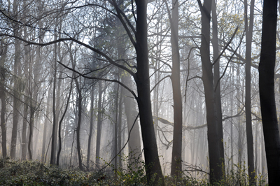 Cassiobury, Watford