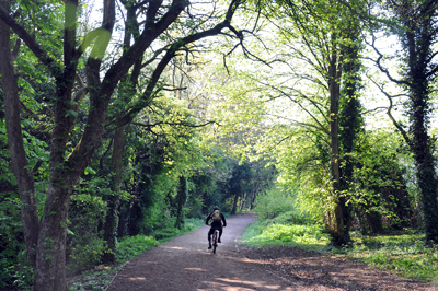 Cassiobury, Watford