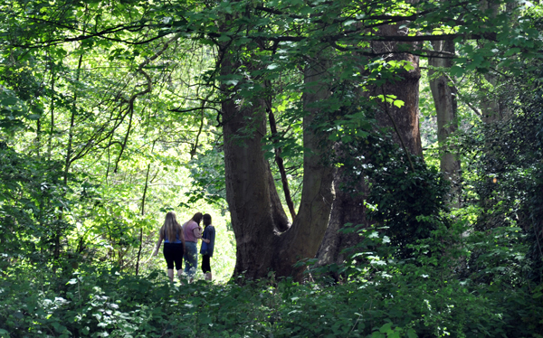 Cassiobury, Watford