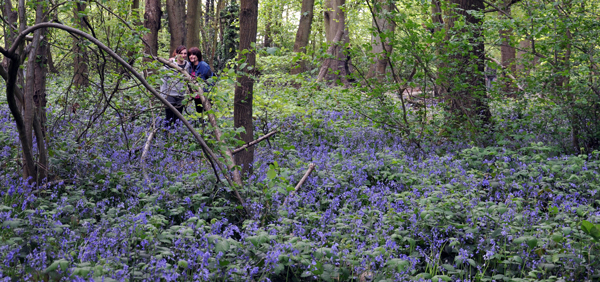 Cassiobury, Watford