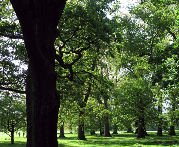 Cassiobury, Watford