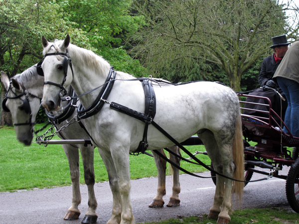 Cassiobury, Watford