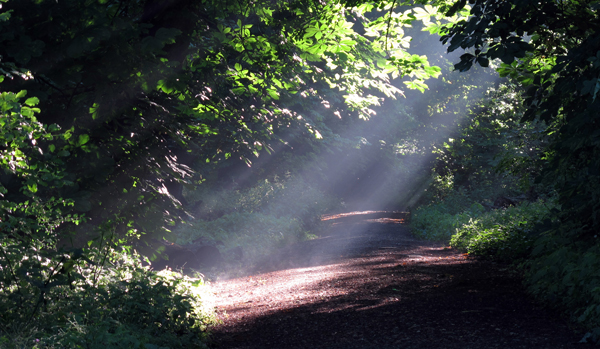 Cassiobury, Watford