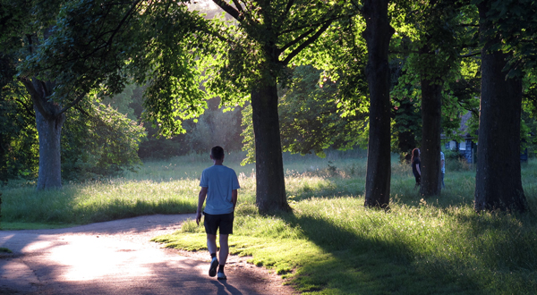 Cassiobury, Watford