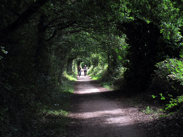 Cassiobury, Watford