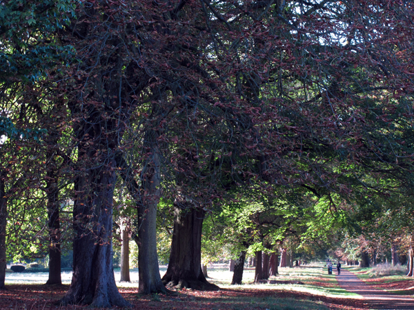 Cassiobury, Watford