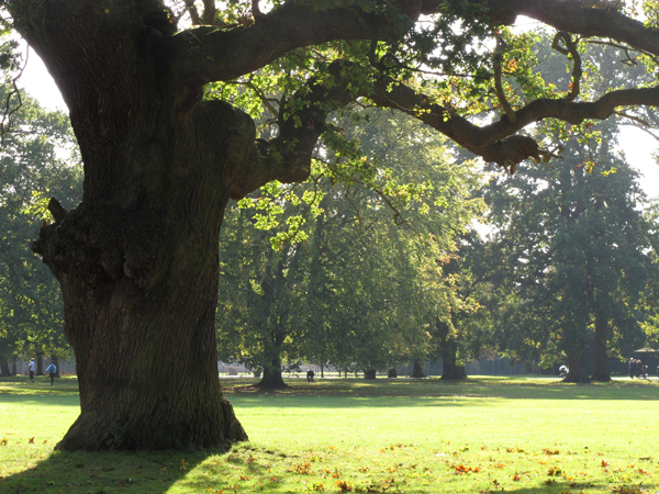 Cassiobury, Watford