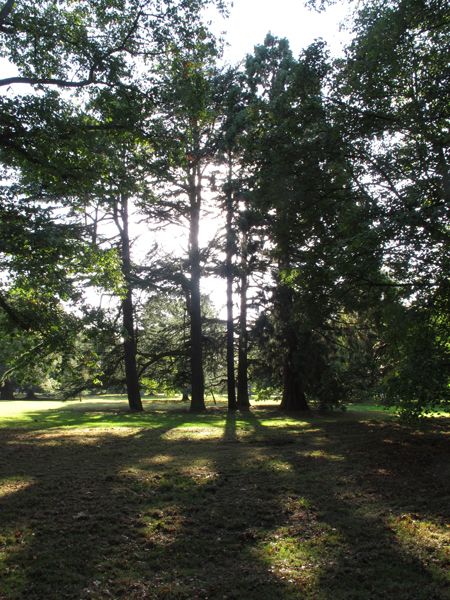 Cassiobury, Watford