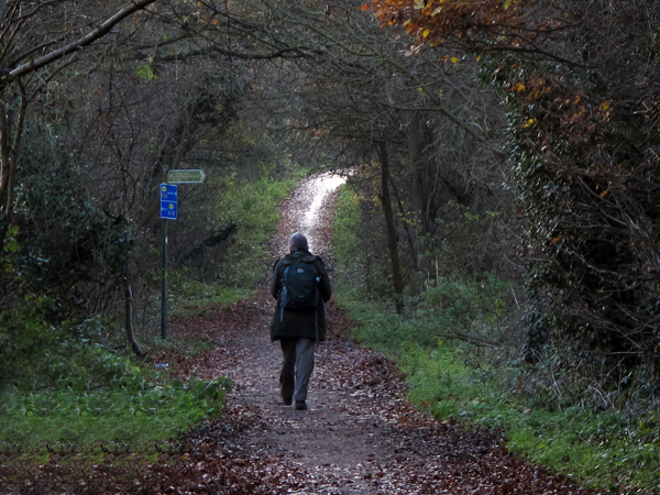 Cassiobury, Watford