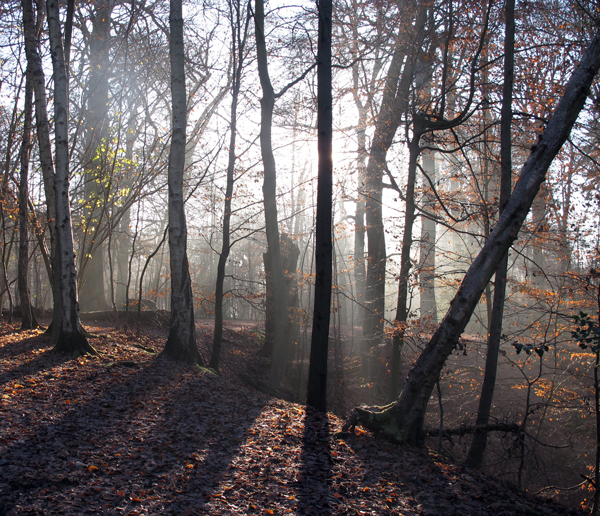 Cassiobury, Watford