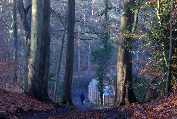 Cassiobury, Watford