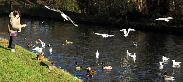 Cassiobury, Watford