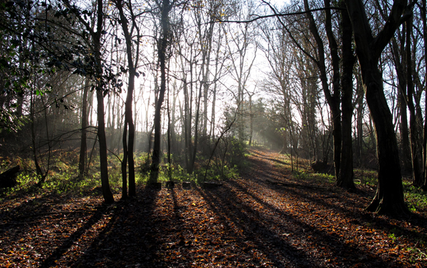 Cassiobury, Watford