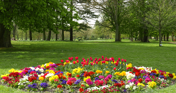 Cassiobury, Watford