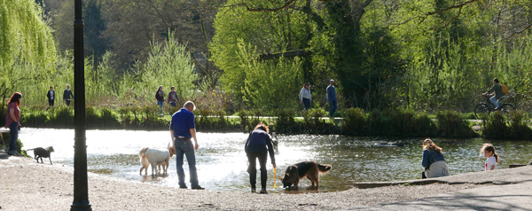 Cassiobury, Watford