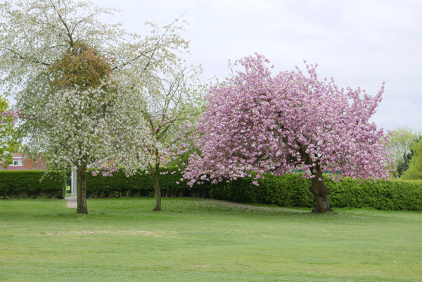 Cassiobury, Watford