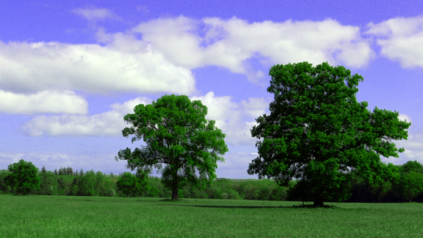 Cassiobury, Watford