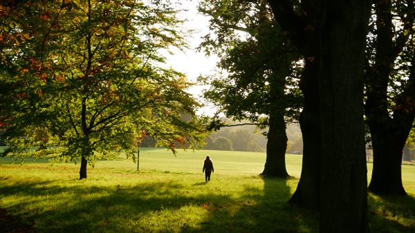 Cassiobury, Watford