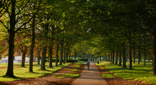 Cassiobury, Watford