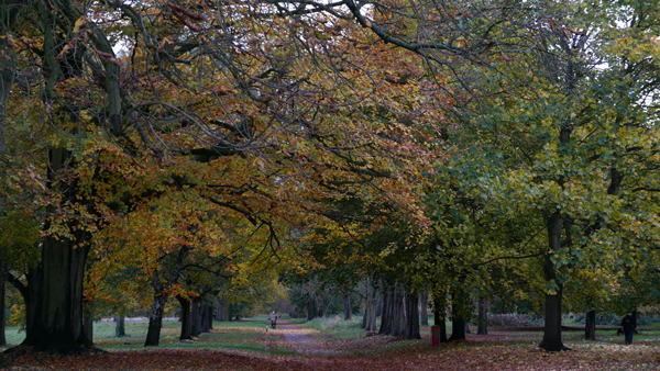 Cassiobury, Watford