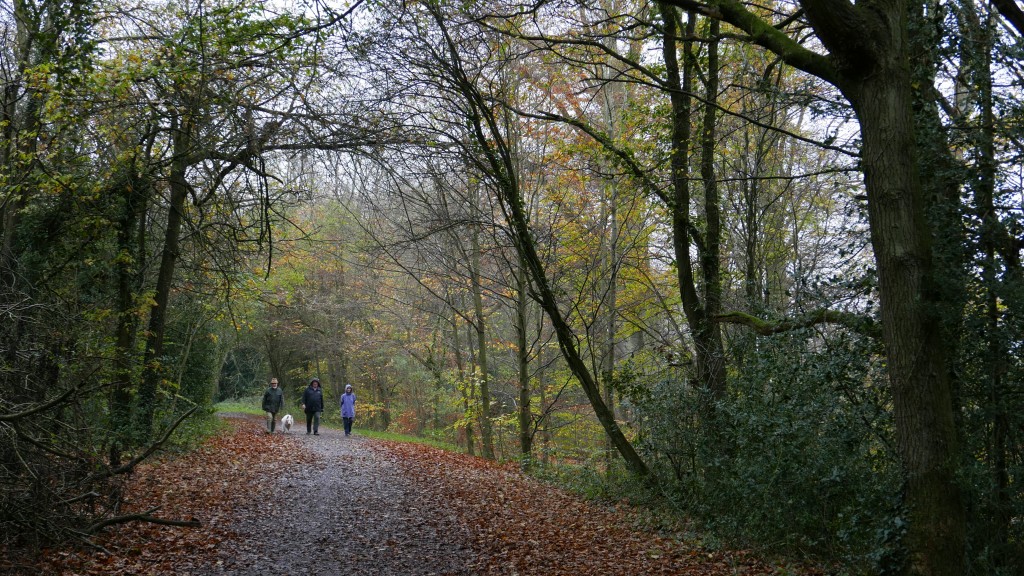 Cassiobury, Watford