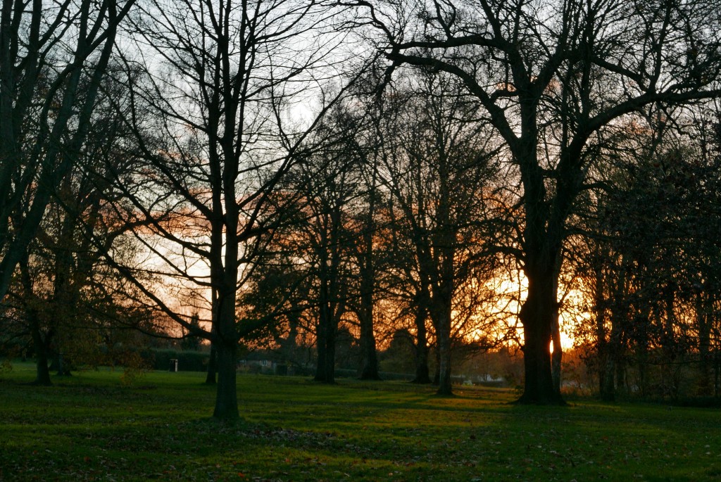 Cassiobury, Watford