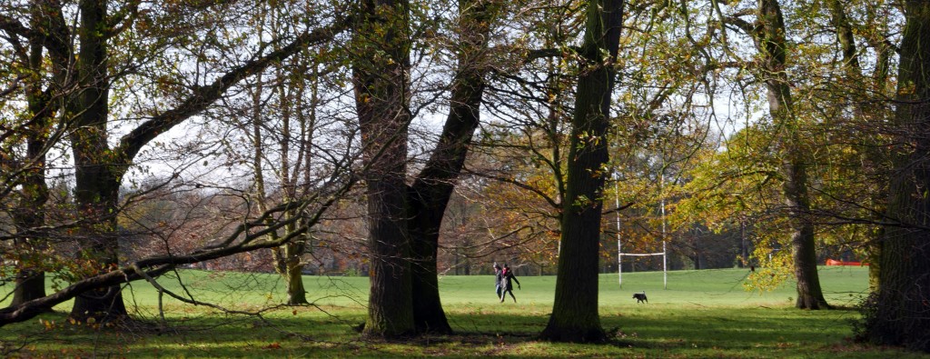 Cassiobury, Watford