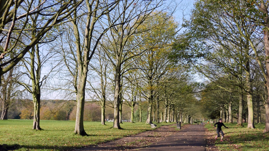 Cassiobury, Watford