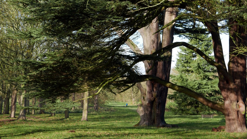 Cassiobury, Watford