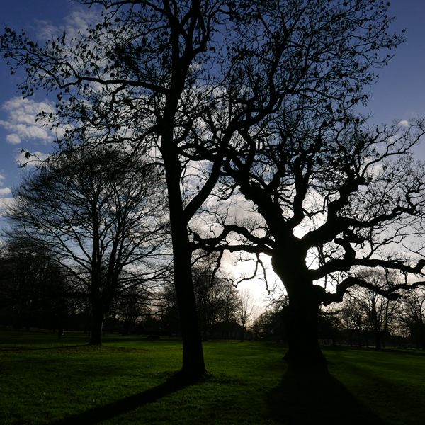 Cassiobury, Watford